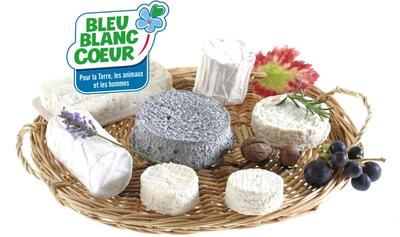 Les Cabris de Manu et Elo