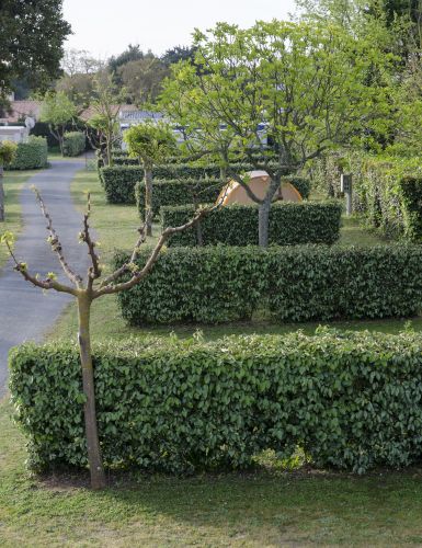 Camping les Lauriers