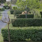 Camping les Lauriers