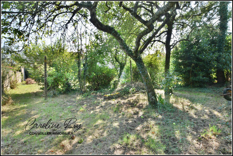 Terrain - 548 m²