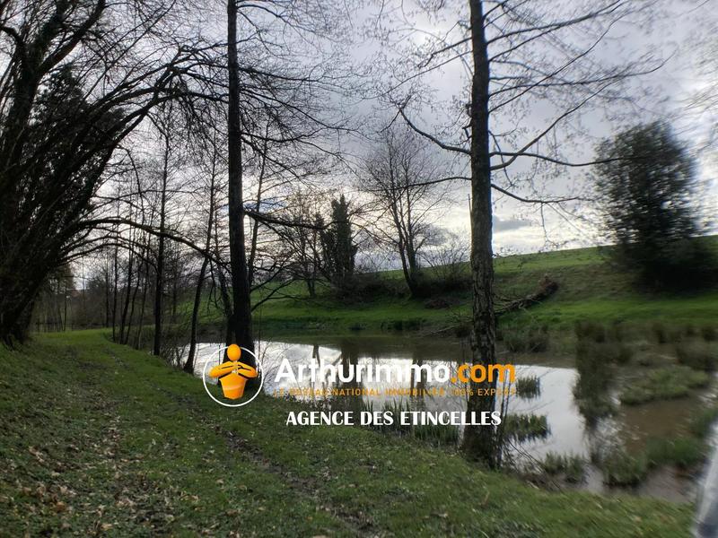 Terrain - 11 080 m²