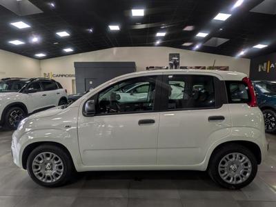 Fiat Panda 1.0 70 ch Hybrid Bsg s/S City