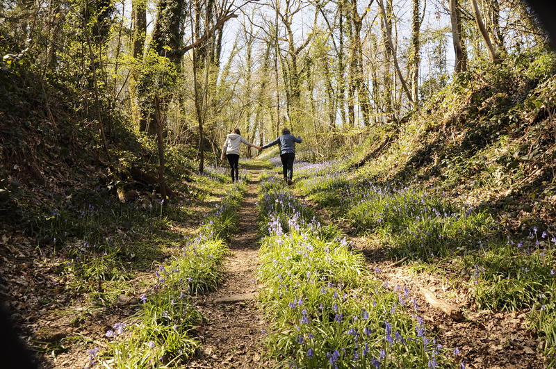 Explorateurs d’un jour : balade nature au Tertre Sainte-Anne