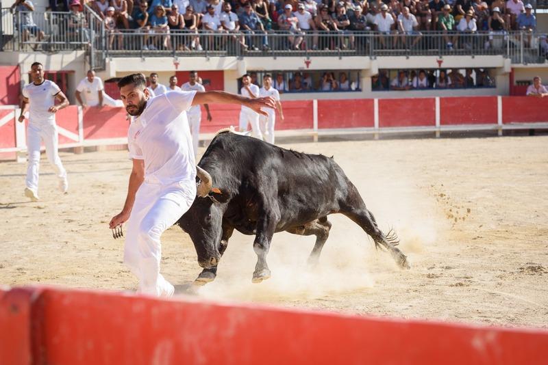 Fonds de commerce - 1 200 m²