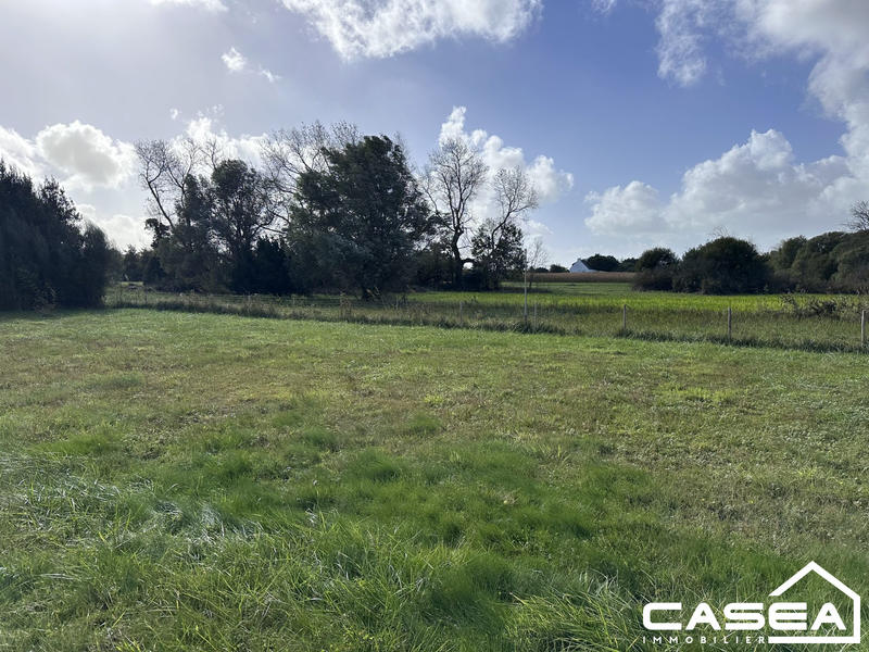 Maison ancienne - 93 m² - 5 pièces