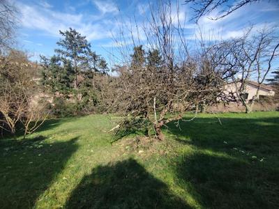 Terrain constructible - 703 m²