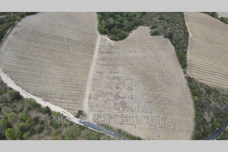 Terrain - 17 200 m²