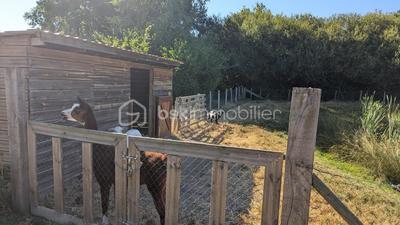 Terrain constructible - 561 m²