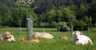 La Ferme du Val de Poix