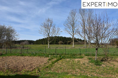 Maison - 175 m² - 9 pièces