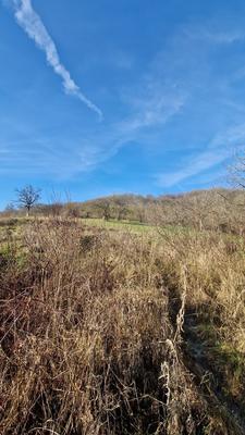 Terrain constructible - 795 m²