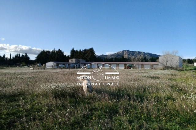 Maison de domaine équestre - 400 m² - 14 pièces