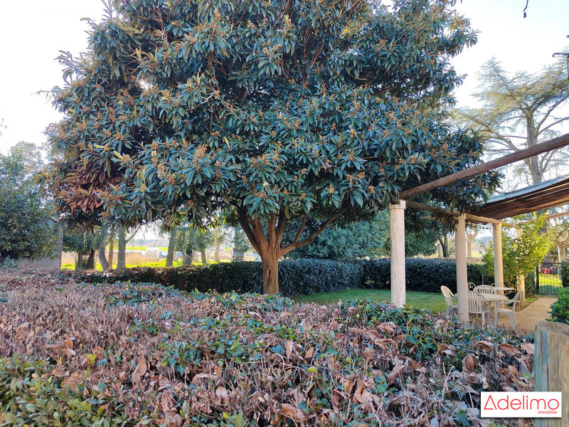 Mas - 1 582 m² - 15 pièces