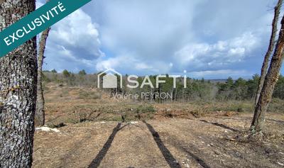 Terrain - 12 443 m²