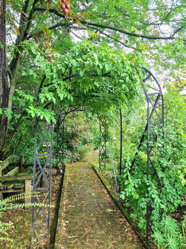 Maison - 283 m² - 11 pièces