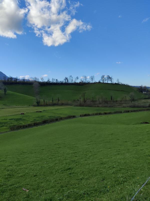 Ferme - 149 m² - 5 pièces