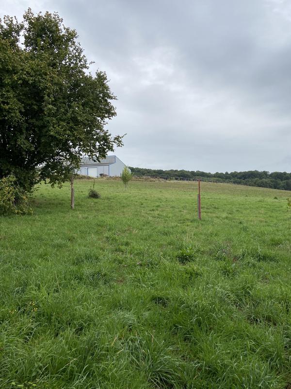 Appartement - 53 m² - 2 pièces