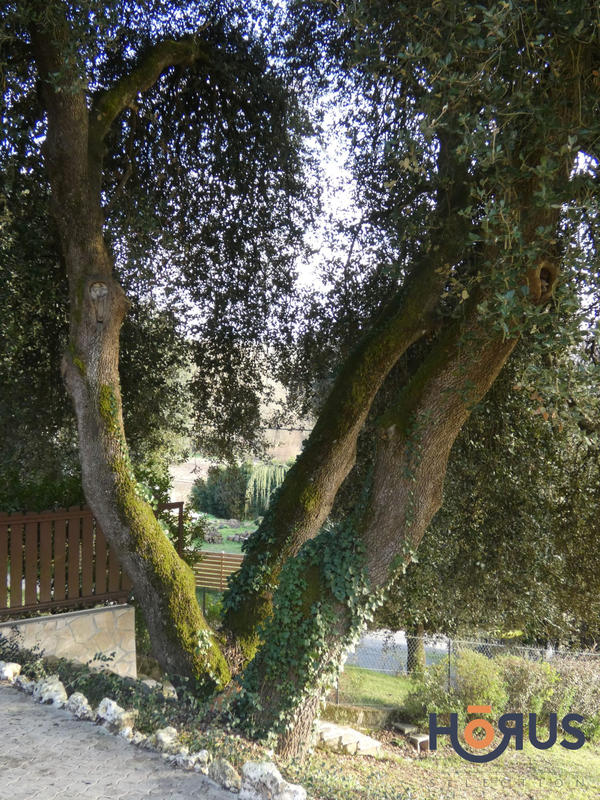 Viager - Maison - 89 m² - 3 pièces