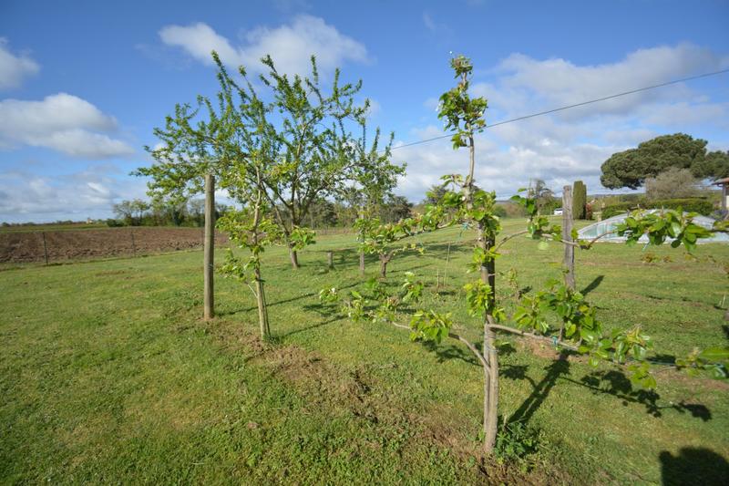 Maison - 166 m² - 6 pièces