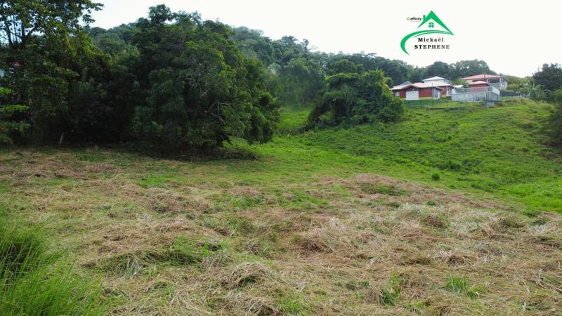 Terrain constructible - 1 241 m²