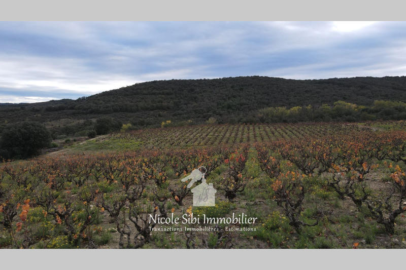 Terrain agricole - 29 300 m²