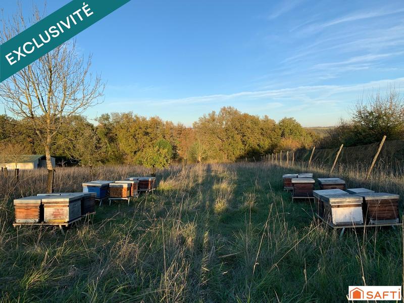 Terrain - 24 151 m²