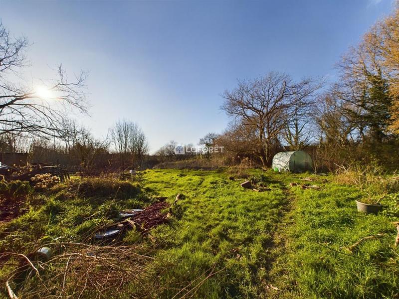 Maison de bois - 80 m² - 3 pièces