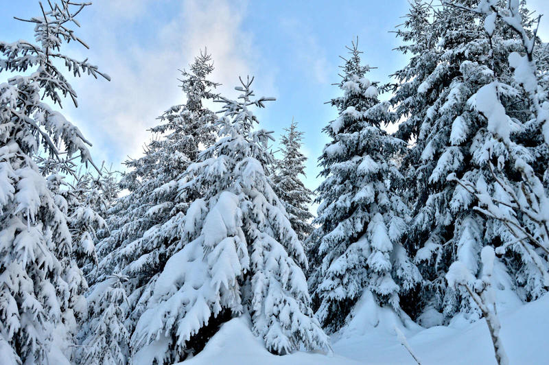 Randonnée dégustation