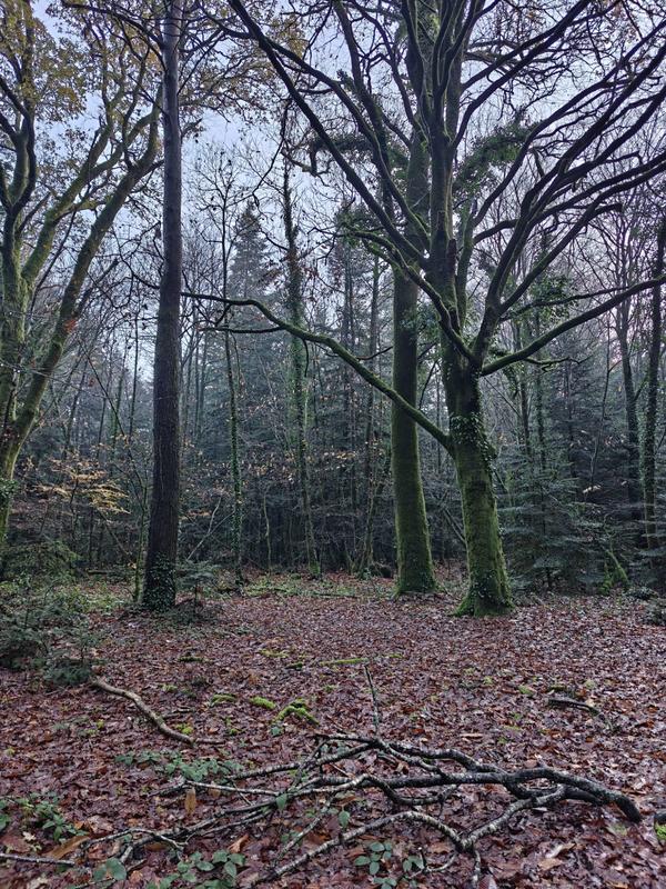 Terrain de loisirs - 12 280 m²