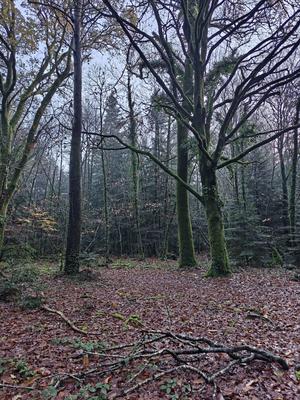 Terrain de loisirs - 12 280 m²