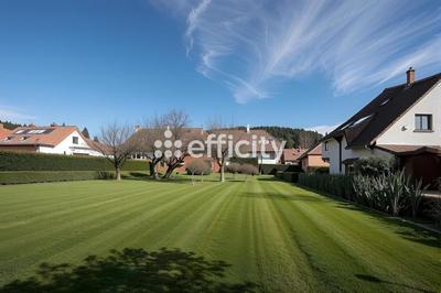 Terrain - 799 m²