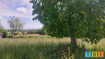 Terrain constructible - 5 900 m²