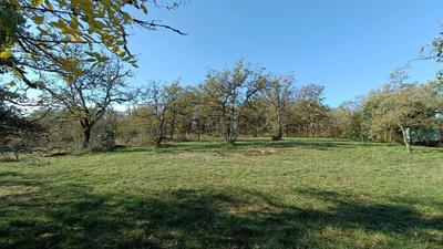 Maison - 119 m² - 5 pièces