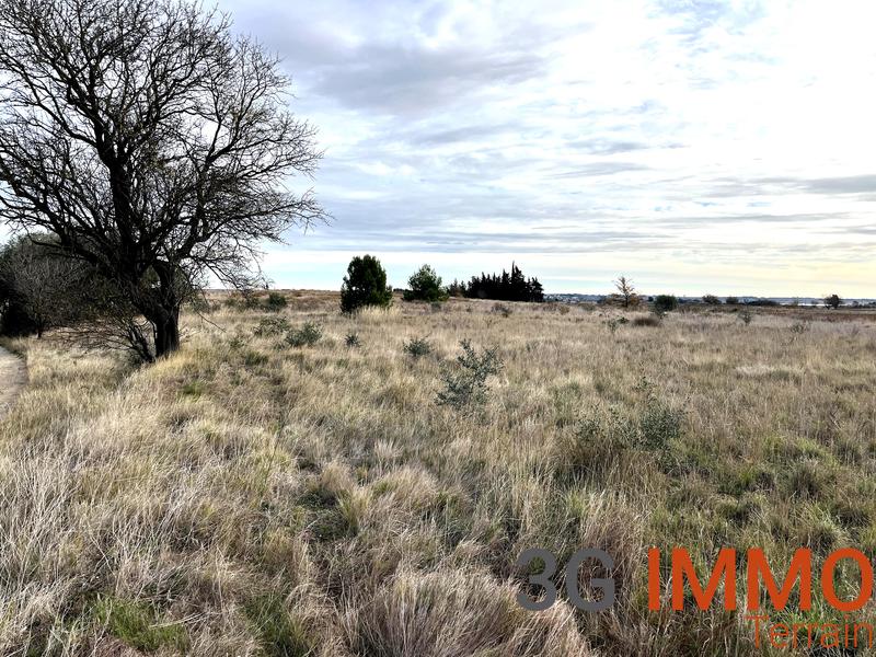 Terrain agricole - 10 081 m²