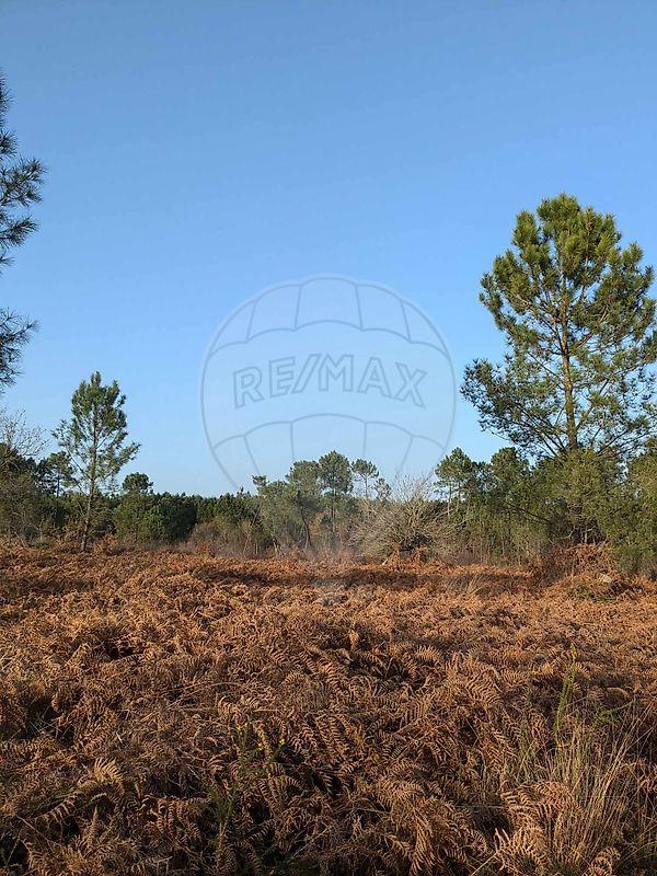 Terrain - 42 134 m²