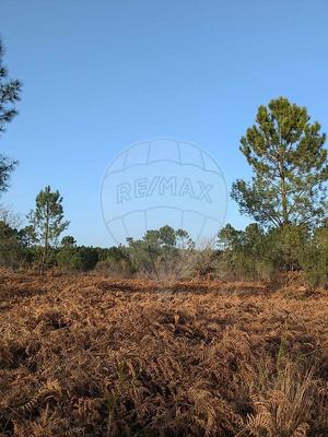 Terrain - 42 134 m²