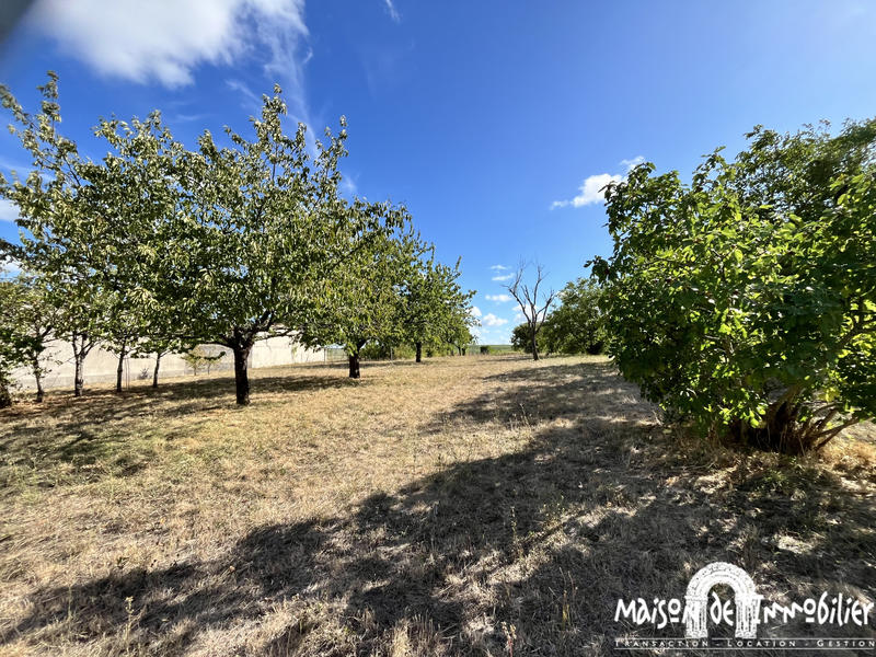 Maison - 205 m² - 9 pièces