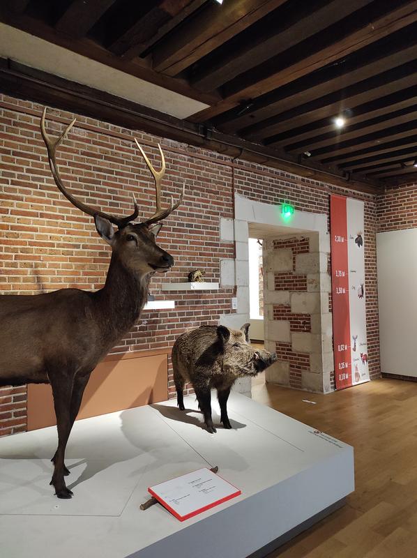 La Nuit Européenne des Musées au Château-Musée de Gien