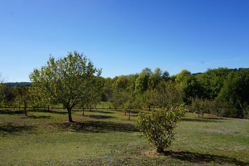 Maison d'architecte - 480 m² - 8 pièces