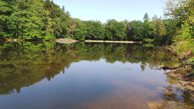 Terrain - 50 000 m²