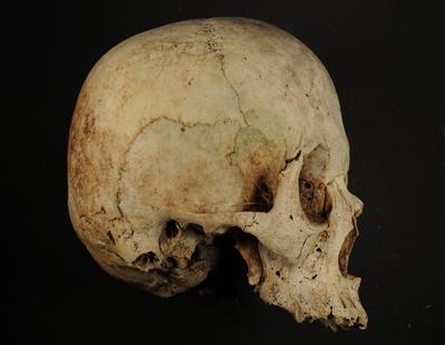 Le Corps saisi par la sociologie et l’anthropologie :  un support de valeurs