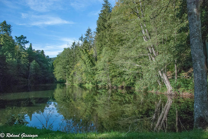 Découverte d’une vallée humide des Vosges du Nord