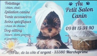 Au petit salon canin