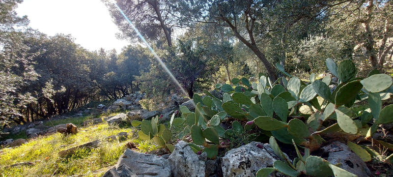 Villa - 100 m² - 4 pièces