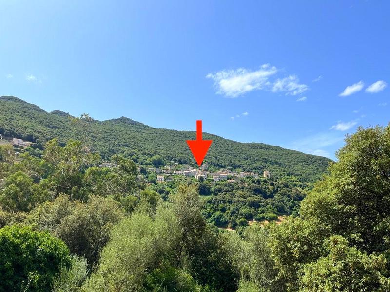 Terrain - 789 m²