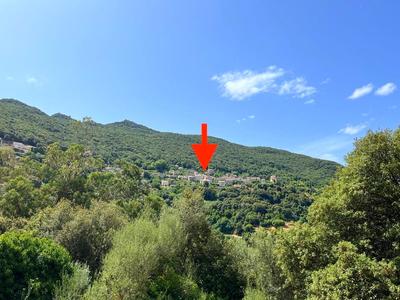 Terrain - 789 m²