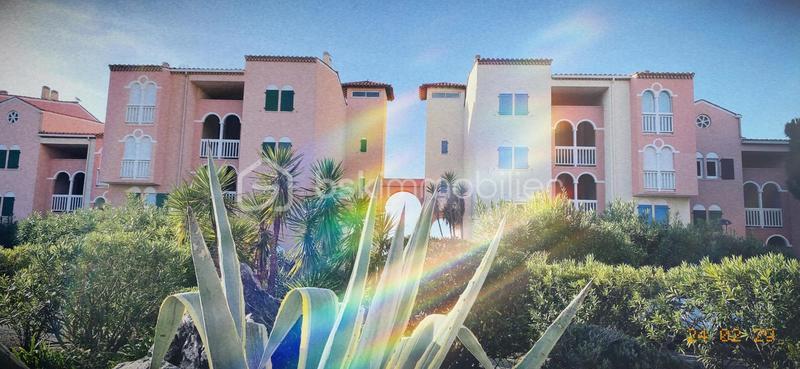 Studio - 20 m² - 2 pièces