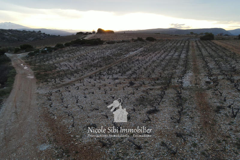 Terrain agricole - 4 820 m²