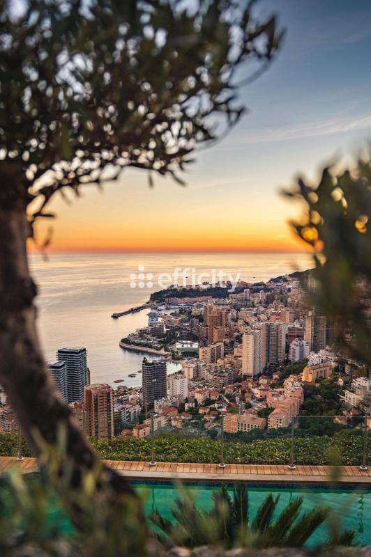 Villa - 306 m² - 7 pièces