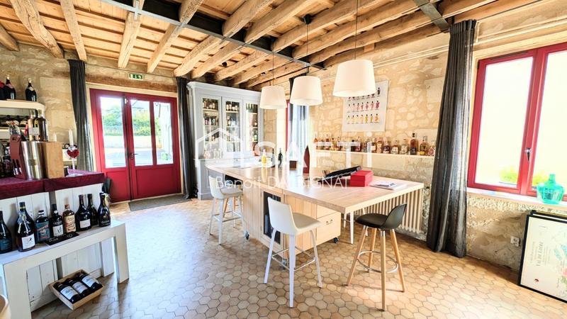 Maison - 361 m² - 12 pièces